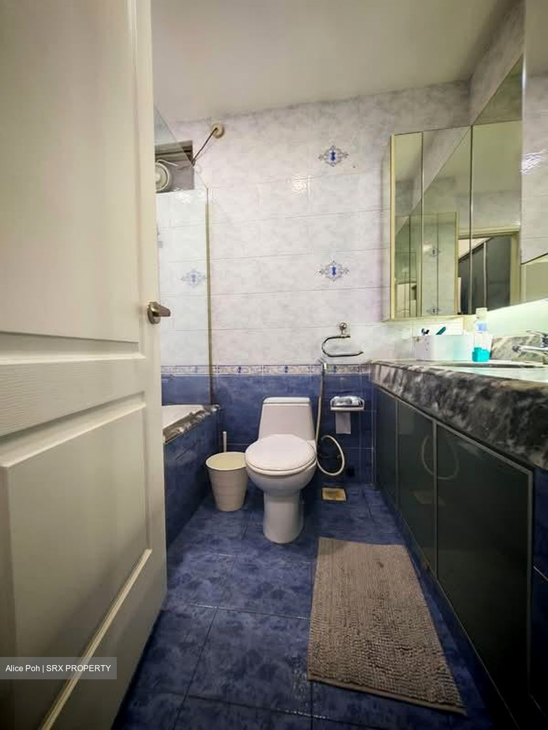 Banyan Condominium (D5), Condominium #555554311